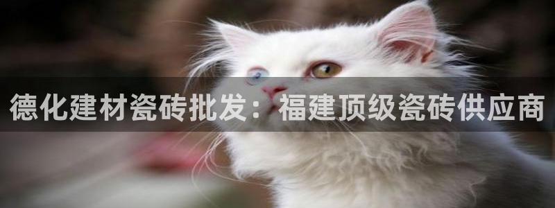 杏鑫官网注册账号