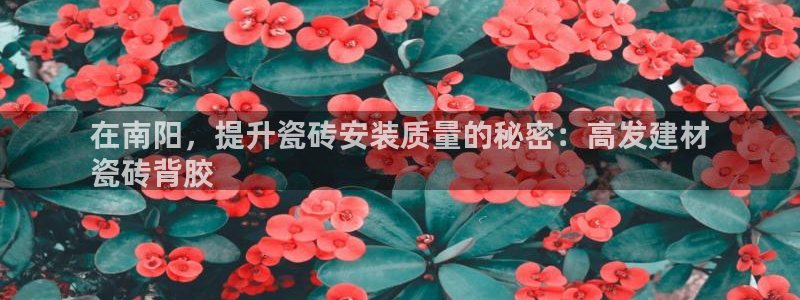 杏鑫平台注册入口