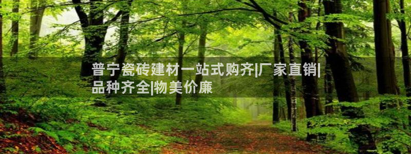 杏鑫手机客户端