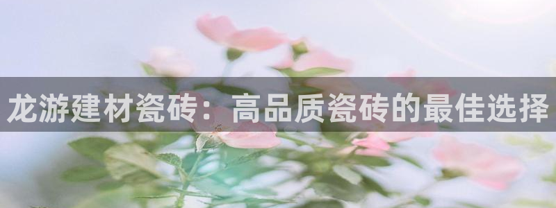杏鑫平台正规吗可信吗
