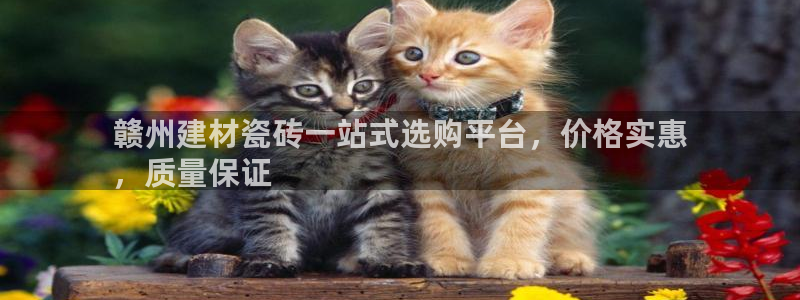 杏鑫娱乐平台登录注册网站