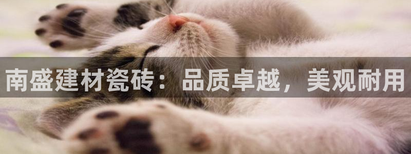 杏鑫官网