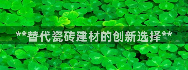 杏鑫代理注册资金多少