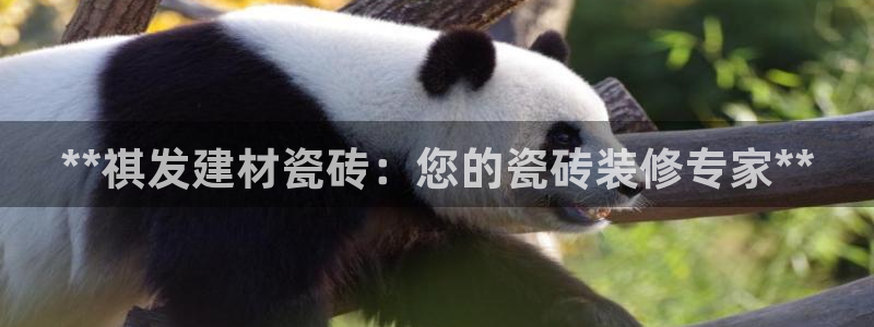 杏鑫娱乐官网