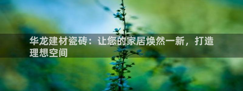 杏鑫平台登陆