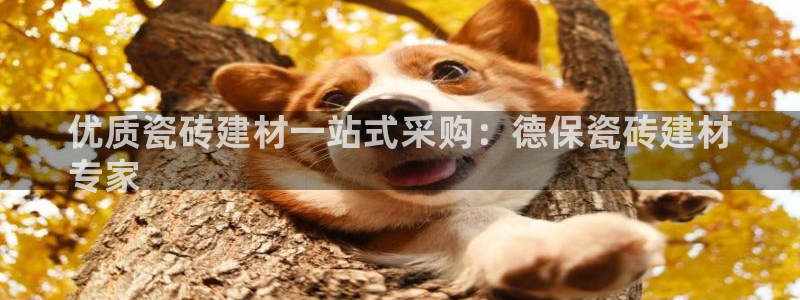 杏鑫官网注册账号密码忘了