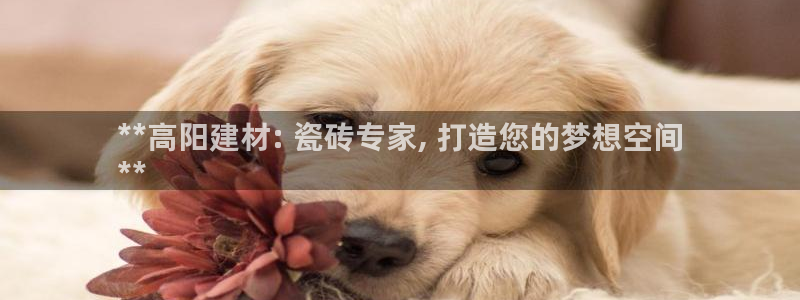 杏鑫注册登录代理公司