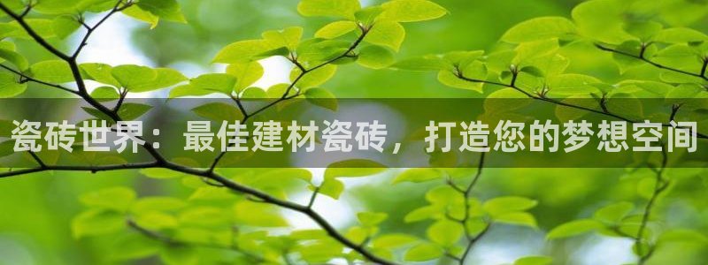 杏鑫平台登录地址查询