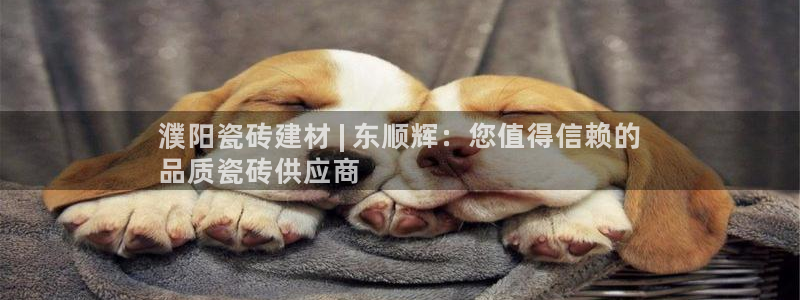 杏鑫平台登录地址是什么