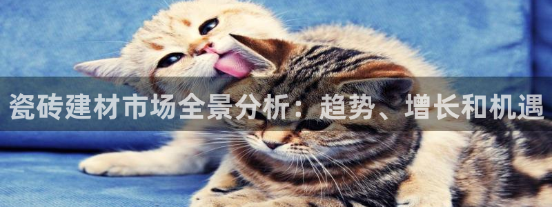 杏鑫平台是黑平台吗