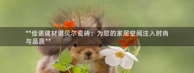 杏鑫平台招商电话