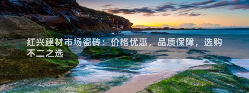 杏鑫注册登录代理