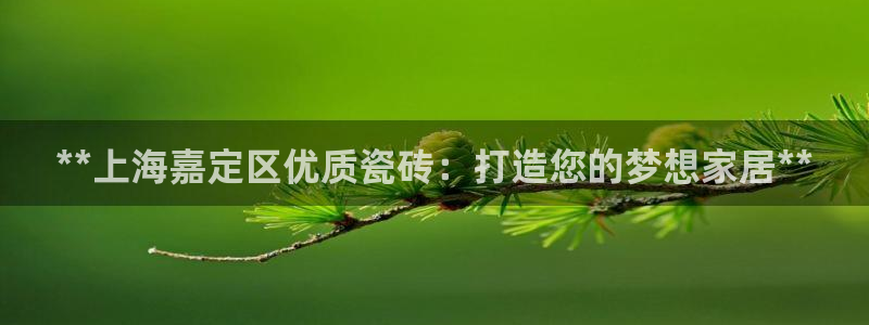 杏鑫官方平台怎么样