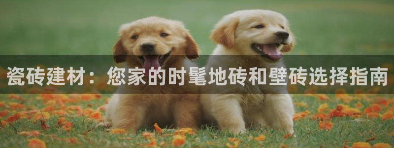 杏鑫娱乐是合法的吗?