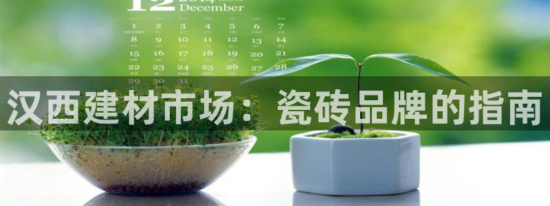 杏鑫平台代理怎么样