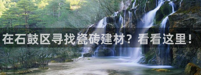 杏鑫娱乐平台测速怎么样
