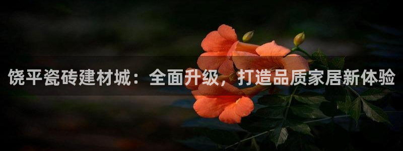 杏鑫娱乐负责人