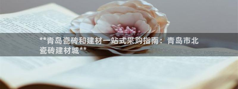 杏鑫娱乐负责人