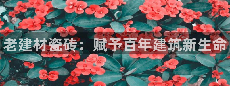 杏鑫平台是黑平台吗知乎