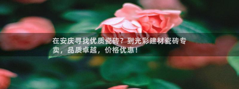 杏鑫娱乐官网首页