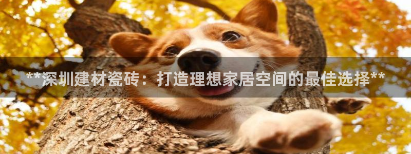 杏鑫平台怎么样黑钱吗安全吗