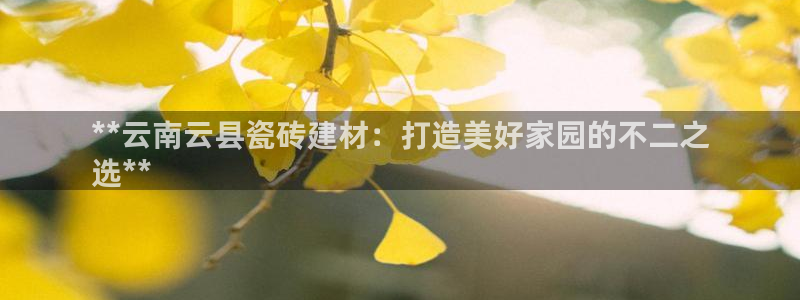 杏鑫平台在线注册怎么注册