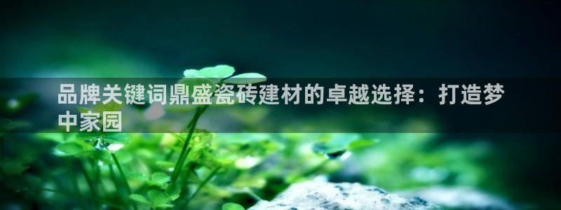 杏鑫手机客户端