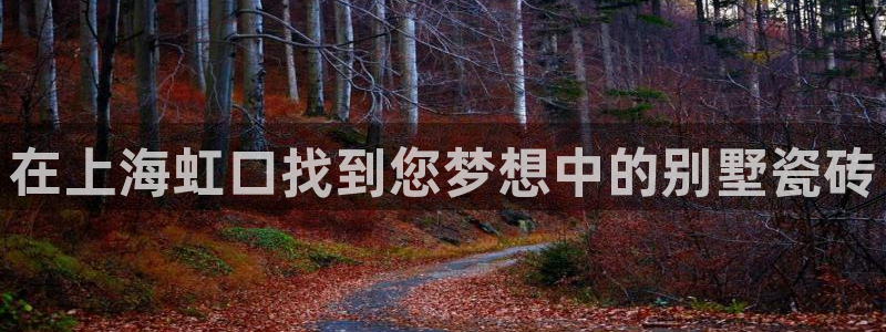 杏鑫平台野马联盟怎么样