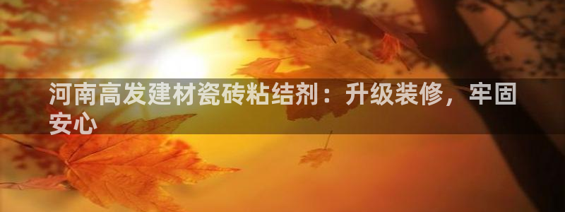 杏鑫官方平台怎么样