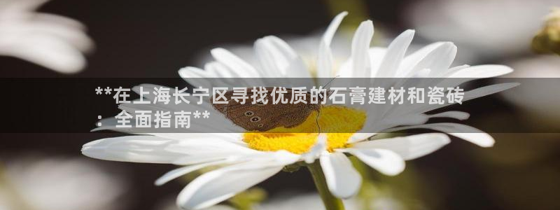 杏鑫平台代理怎么样可靠吗