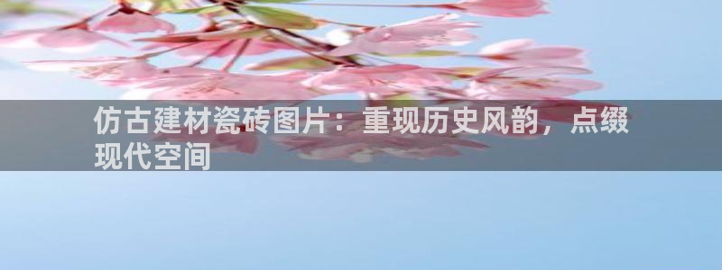 杏鑫官方平台怎么样啊