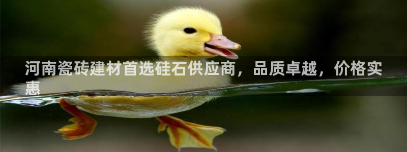 杏鑫平台怎么样知乎