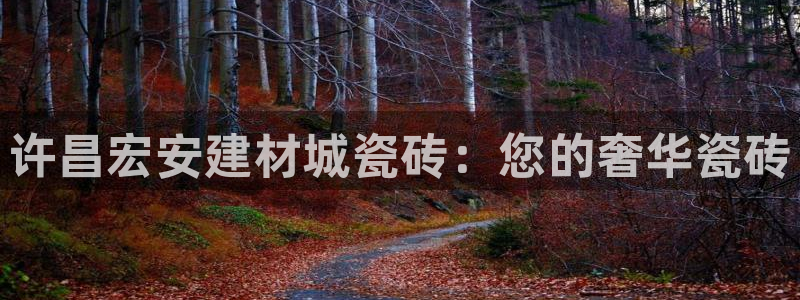 杏鑫平台平台