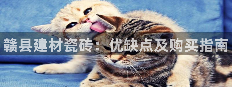 杏鑫平台招商怎么样