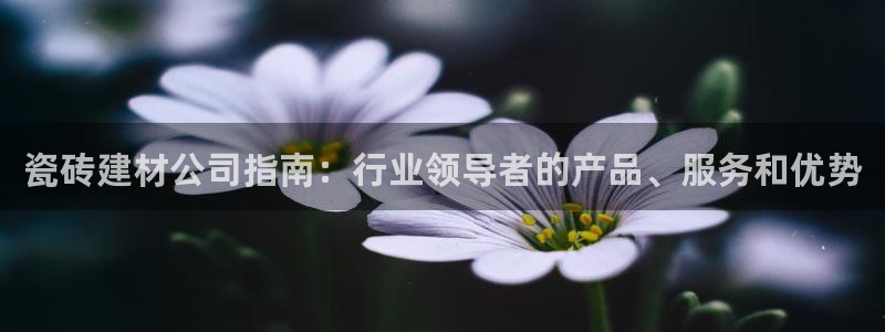 杏鑫娱乐官网登录