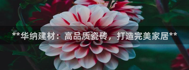 杏鑫平台怎么样