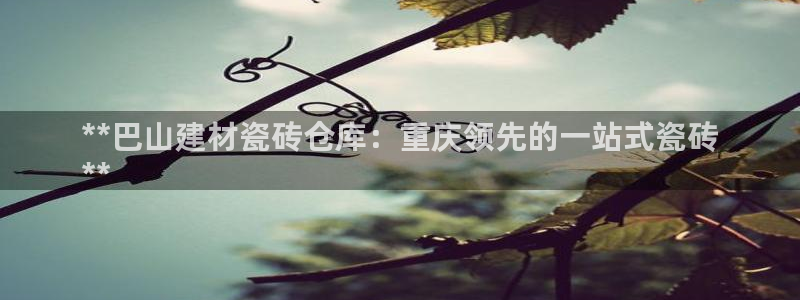 杏鑫注册平台官方网站