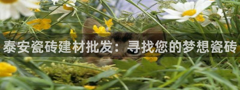 杏鑫平台注册入口在哪里找