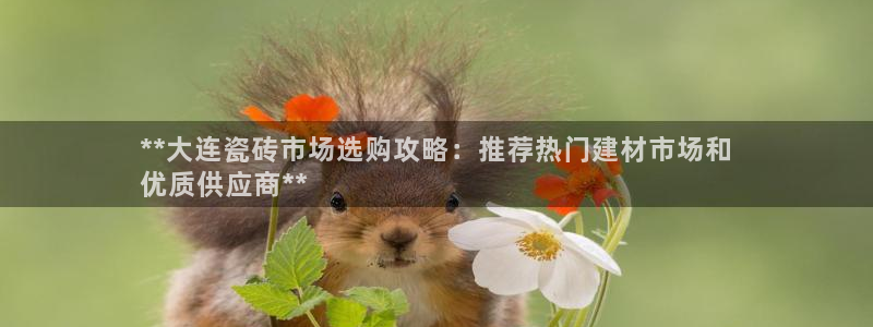 杏鑫平台代理怎么做的