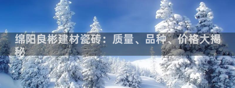 杏鑫娱乐开发团队