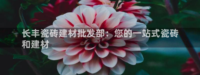 杏鑫平台测速怎么样