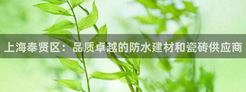 杏鑫官方平台怎么样啊可靠吗
