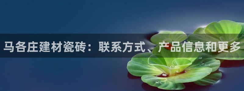 杏鑫平台广7O777