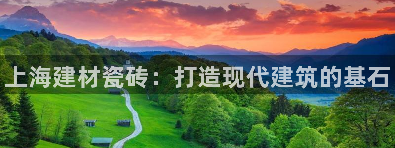 杏鑫平台平台