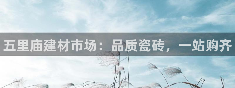 杏鑫平台招商电话号码是多少