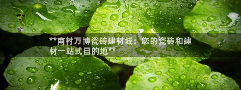 杏鑫平台代理怎么样