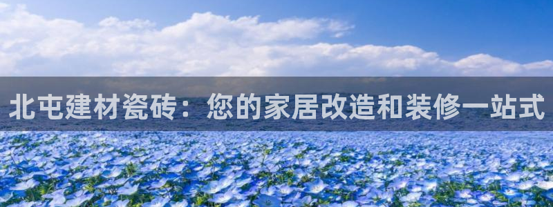 杏鑫代理注册登录