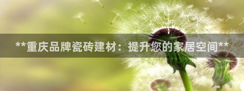 杏鑫平台招商怎么样啊