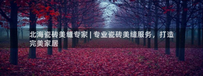 杏鑫平台怎么样知乎