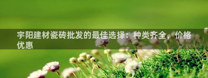 杏鑫官网注册账号是什么意思